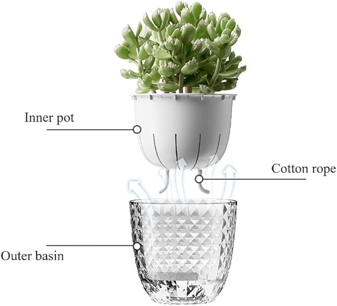 Self Watering Pots for Indoor Plants, Flower Pots, Self Watering Plant Pot-3pcs 6inch Clear