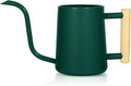 Watering Can Indoor Plants, 35 oz/1000 ml Metal Stainless Steel Watering Can Pot with Long Spout for Indoor House Plants Bonsai Outdoor Garden Flower Decorative (Alpinegreen)