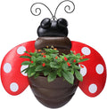Metal Wall Planter Ladybug Wall Mounted Planters Small Flower Pot with Drainage for Indoor Outdoor Farmhouse Hanging Planter Succulent Plant Container Vertical Garden Yard Decor