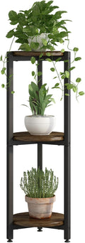 Plant Stand Indoor Corner Tall 3 Tier Metal Modern Flower Storage Plant Shelf Holder for Living Room Balcony Garden,Black (3 Tier-Black Round)