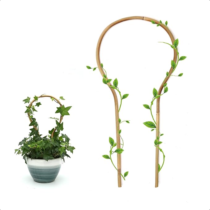 3Pack Bamboo Trellis 16 Inch Round Shaped Small Plant Trellis for Indoor Potted Plants Climbing Monstera Orchid Vine Hoya Houseplant