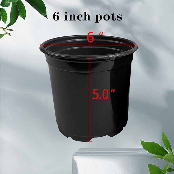RAOOKIF 100 Pack Nursery Pots, 4 5 6 Inch Nursery Pot for Plants, Plastic Plant Pots with Drainage Holes, Garden Flower Pots for Transplanting, Succulents, Cuttings, Seedlings(6inch,100pcs)