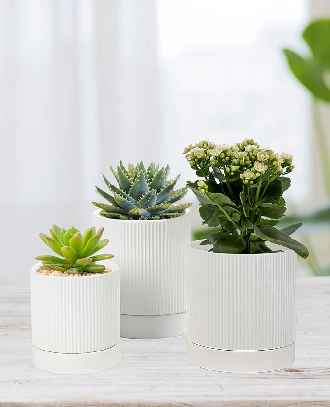 LaDoVita 3 Pack Ceramic Plant Pots 6/5/4 inch, Flowerpot for Indoor Plants with Drainage Holes and Tray, Outdoor Garden Planters, Modern Decorative for Home, White Vertical Stripes