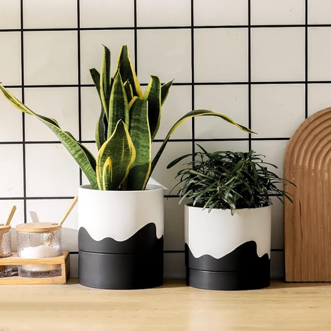 Nihow Ceramic Plant Pot: 6 Inch Planter with Drainage Hole & Saucer for Indoor & Outdoor Plants - Cylinder Round Flower Pot for Succulent/Herbs/Violets - White & Wave Black
