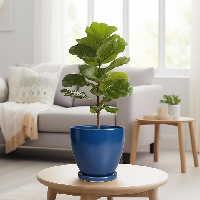 Ceramic Plant Pot - 8 Inch Planter for Indoor Outdoor Plants, Round Flower Pots with Drainage and Tray, Home Office Decor, Blue