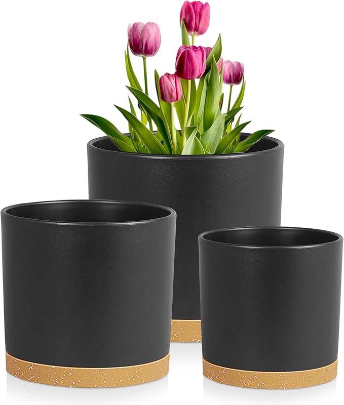 8/7/6 inch Flower Pots, 3 Pack Cylinder Plant Pots for Outdoor Indoor Plants, Decorative Plastic Planters with Drainage Holes and Saucers for Garden House Plants, Black with Brown