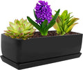 Vencer 14 Inch Rectangular Modern Minimalist Ceramic Succulent Planter Pot - Window Box with Saucer,Office Desktop Potted Stand,Black,VF-0175B