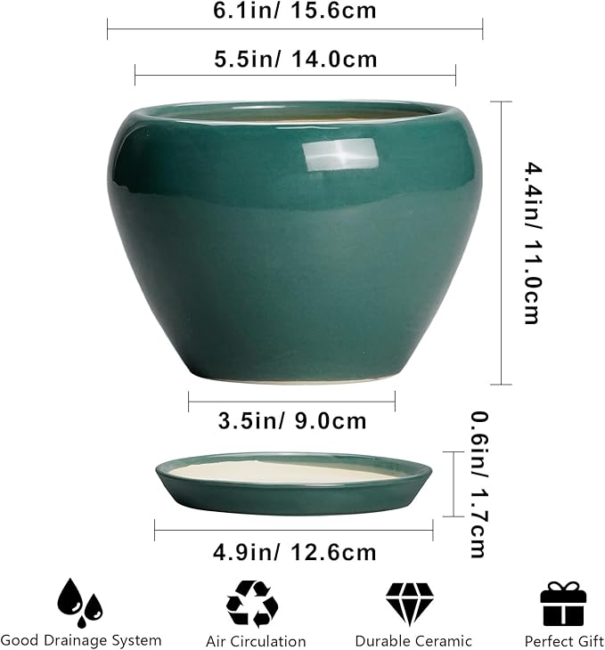 Indoor Plant Pot 6 Inch - Ceramic Planter with Drainage Hole and Saucer, Modern Decorative Indoor Planter for Herb Succulent Plants, Garden Home Decor, Gifts for Plant Lovers, Green