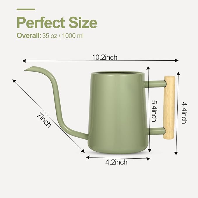 Watering Can Indoor Plants, 35 oz/1000 ml Metal Stainless Steel Watering Can Pot with Long Spout for Indoor House Plants Bonsai Outdoor Garden Flower Decorative (Sage Green)