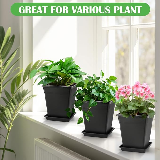 BTPLASTIK Square Plastic Planter 8 Inch, Plant Pots with Drainage Hole & Tray, 10 Pack Modern Decorative Garden Pot with Saucer, 1 Gallon Flower Pots Planters for Indoor Outdoor Plants