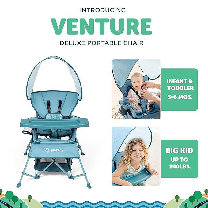 Baby Delight Go with Me Venture Portable Chair | Indoor and Outdoor | Sun Canopy | 3 Child Growth Stages | Blue Wave