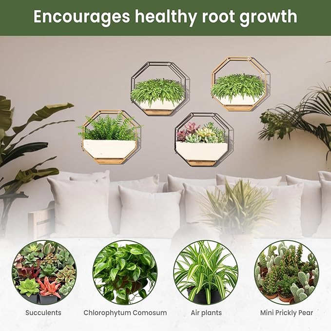 IRYL Wall Planter for Indoor Plants - Ceramic Wall Hanging Planter Set with Bamboo Tray & Hooks - Decorative Wall Plant Holder - Modern Wall Planters for Vertical Garden Home Decor - Black