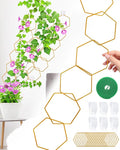 18 Pcs Chain Trellis for Climbing Plants, Potted Houseplant Accessories for Hoya, Ivy, Monstera, 6-Corner DIY Wall Trellis Plant Support with Hooks and Ties Indoor Outdoor(Gold)