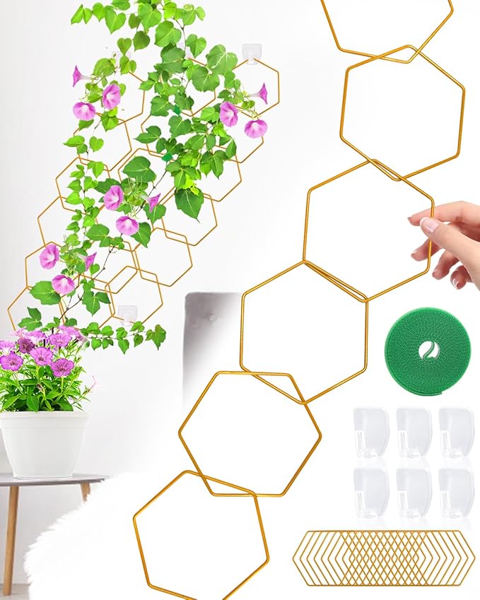 18 Pcs Chain Trellis for Climbing Plants, Potted Houseplant Accessories for Hoya, Ivy, Monstera, 6-Corner DIY Wall Trellis Plant Support with Hooks and Ties Indoor Outdoor(Gold)