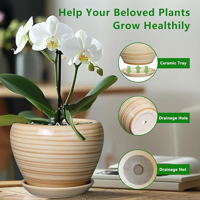 6 Inch Plant Pot Ceramic - Decorative Planter for Indoor Plants Succulent Pot with Drainage Hole and Saucer Round Planter Outdoor Flower Pot for House Patio Yellow
