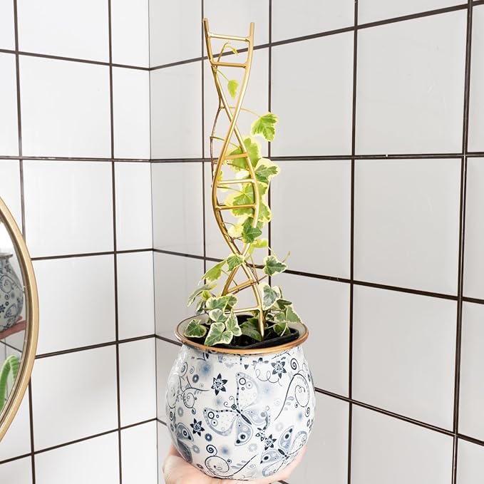Indoor Plant Trellis for Potted Plants - Durable Metal Climbing Trellis with Unique DNA Spiral Design for Vining Plants, Easy Installation for Indoor & Outdoor Use