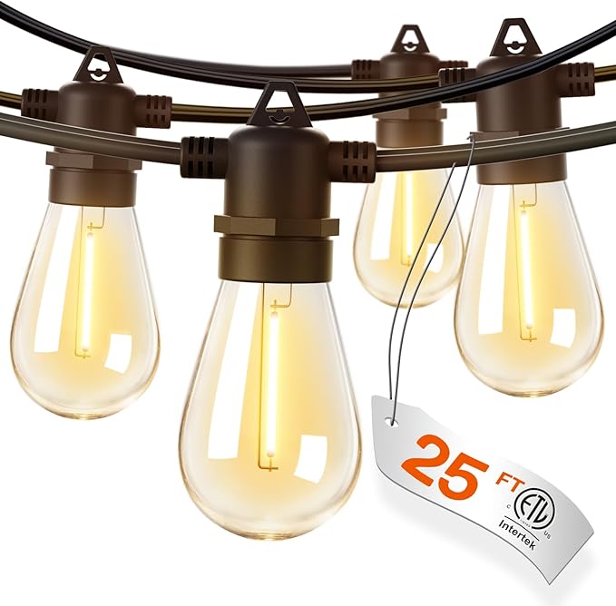 addlon 25FT LED Outdoor String Lights with Edison Shatterproof Bulbs, Heavy-Duty and Weatherproof Strand, Commercial Grade Patio Lights, Decorative for Garden or Patio, Black