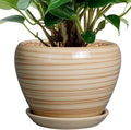 6 Inch Plant Pot Ceramic - Decorative Planter for Indoor Plants Succulent Pot with Drainage Hole and Saucer Round Planter Outdoor Flower Pot for House Patio Yellow