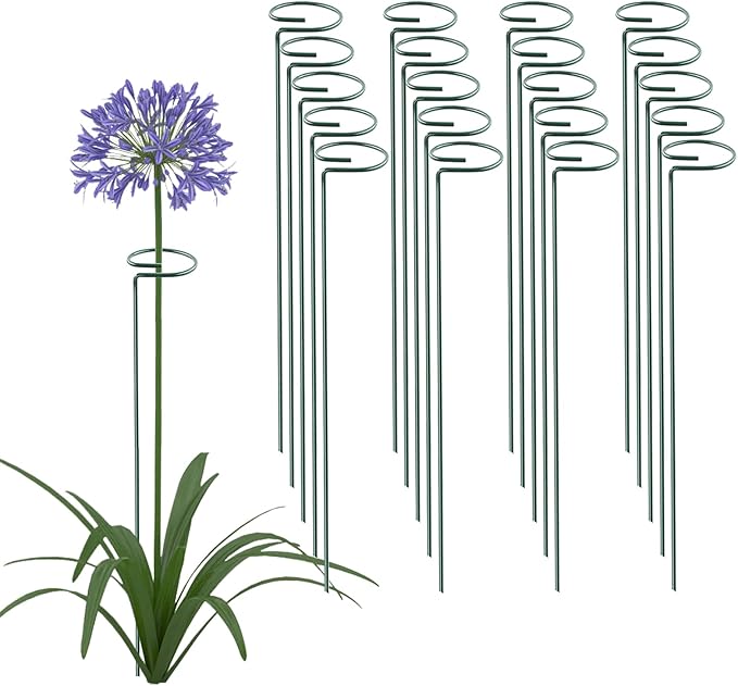 20 Pack 16 Inch Plant Support Stakes, Metal Single stemmed Flower Support Hoops，Garden Plant Stakes Plant Prop for Amaryllis Orchid Lily Rose Peony Tomatoes Gladiolus