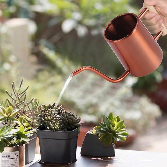 Watering Can Indoor Plants, 35 oz/1000 ml Metal Stainless Steel Watering Can Pot with Long Spout for Indoor House Plants Bonsai Outdoor Garden Flower Decorative (Copper)