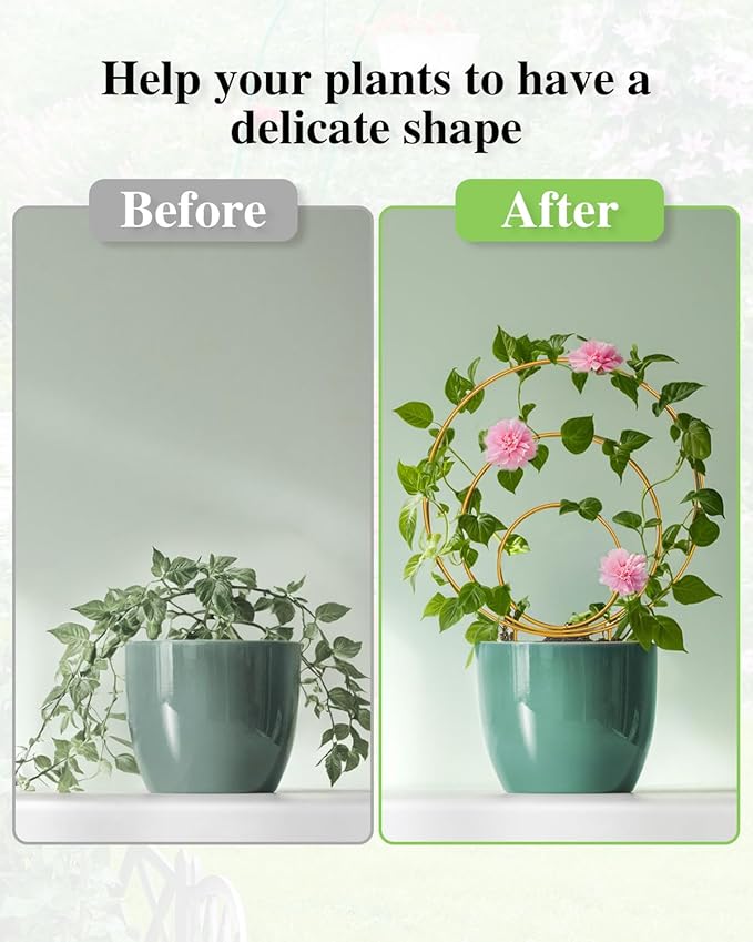 3 Pack Premium Round Plant Trellis Indoor, Small Metal Plant Support Stake for Climbing Plants, Different Sizes Gold Garden Trellis for Ivy and Flowers Outdoor