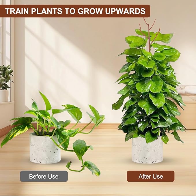 6 Pack Stackable Monstera Plant Support, Plant Stakes for Indoor and Outdoor Plants Use, Garden Stakes for Climbing and Potted Plants, Pothos, Philodendron, Brown