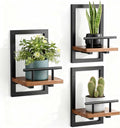 bosbo Floating Shelves for Wall, Plant Shelf Indoor, Wall Planters for Indoor Floating Plant Shelves for Bedroom, Living Room, Kitchen, Office, Bathroom Decor (3 Pack)