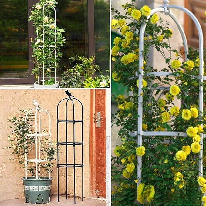 Garden Trellis for Climbing Plants, Rustproof Metal Pipe with Heavy Duty 6ft, Garden Outdoor Indoor Potted Plant Support（White）
