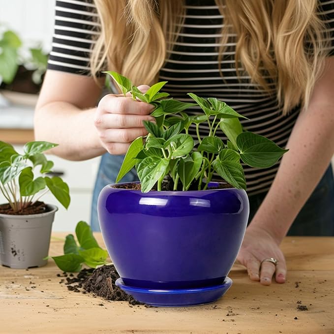 6 Inch Plant Pot - Ceramic Pots for Plants Succulent Pot with Drainage Hole and Saucer Round Planter Outdoor Flower Pot for Herb Snake Plants Blue
