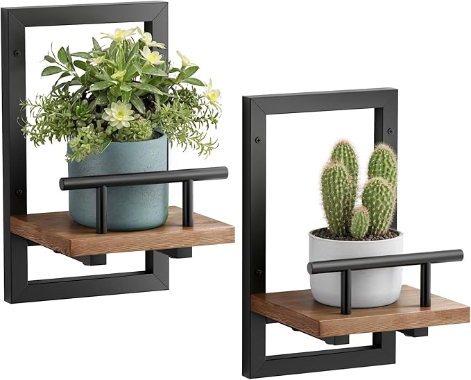 Floating Shelves for Wall, Plant Shelf Indoor, Wall Planters for Indoor Floating Plant Shelves for Bedroom, Living Room, Kitchen, Office, Bathroom Decor (2 Pack)