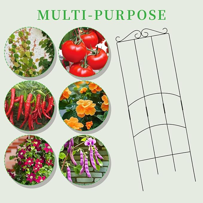 32 Inch Metal Plant Trellis for Climbing Plants Outdoor，4 Pack Garden Trellis for Potted Climbing Plants Indoor Houseplants Flowers Vine Ivy,Black,Rectangle