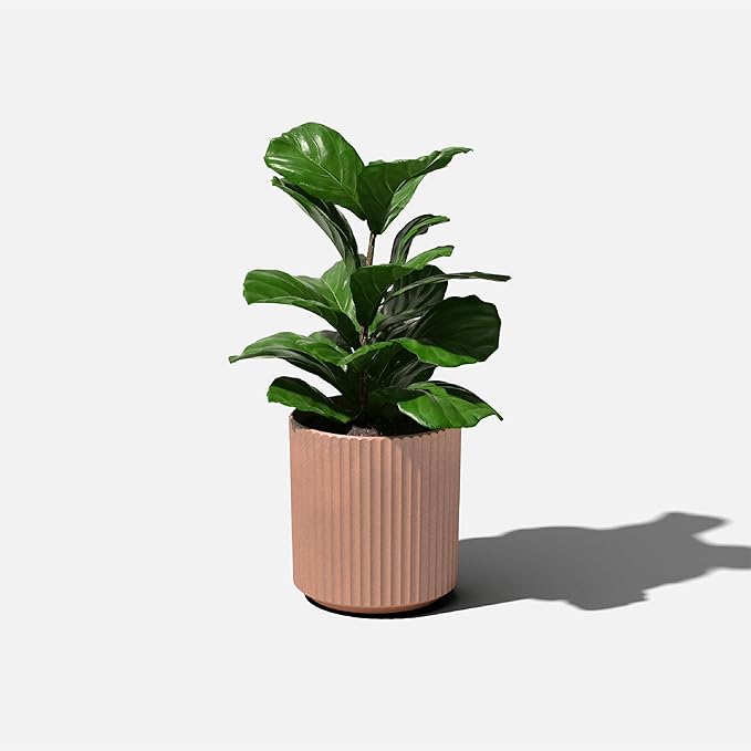 Veradek Demi Series Round Planter for Porch, Patio, Backyard | Durable Plastic-Stone Composite Material | Modern Décor for Tall Plants, Flowers