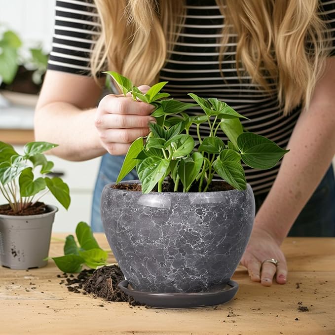Ceramic Planter - 6 Inch Plant Pot with Drainage Hole and Saucer, Succulent Pot Glaze Round Flower Pot for Indoor Outdoor Plants, Gray
