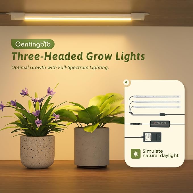 Plant Stand Indoor with Grow Lights for Indoor Plants 62.2'' Tall Plant Shelf 12 Tiers Sturdy Plant Rack for Plants Dispaly for Living Room Garden Patio Decor