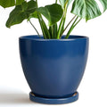 Ceramic Plant Pot - 8 Inch Planter for Indoor Outdoor Plants, Round Flower Pots with Drainage and Tray, Home Office Decor, Blue