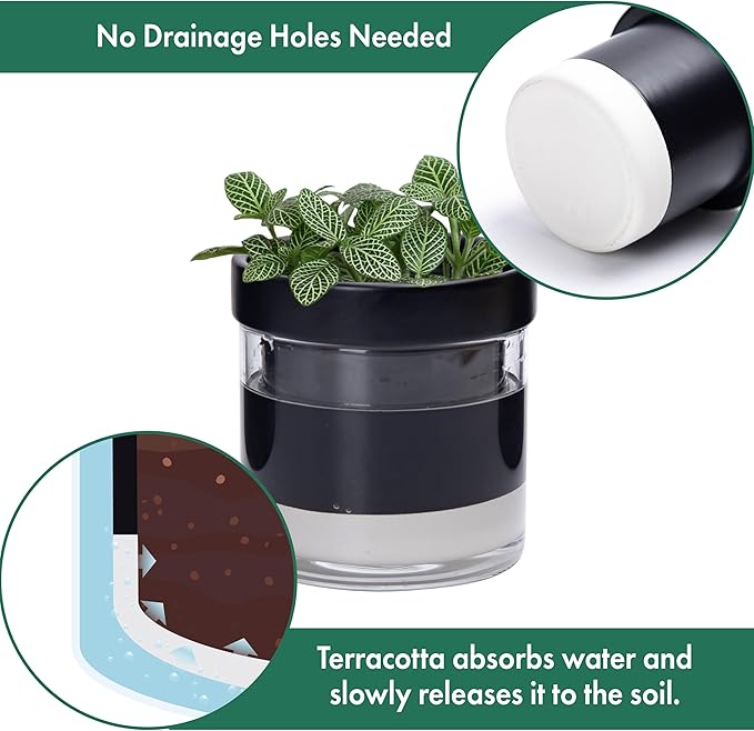 Phoenix Vine 4 Inch Self Watering Planter Pot, Black Terracotta Clay Pot with Glass Reservoir for Indoor Plants, Herbs, Flowers, Set of 3, 52-C-E-3