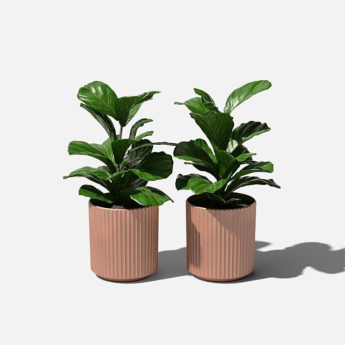 Veradek Demi Series Round Planter for Porch, Patio, Backyard | Durable Plastic-Stone Composite Material | Modern Décor for Tall Plants, Flowers