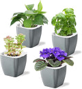 4 Pack Self Watering Pots 4-inch Decorative Flower Planters for Indoor Plants Modern Square planters for Small Plants Window Sill Planters for Succulents, African Violets, Herbs(Sliver Black)