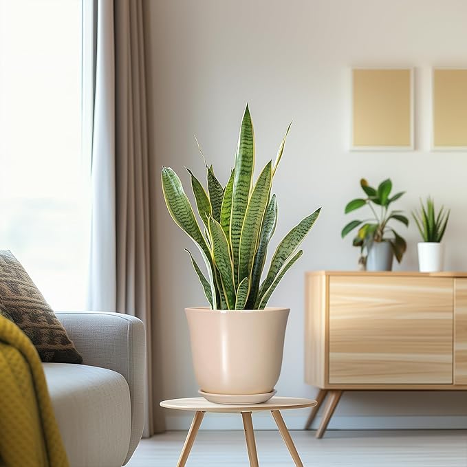 8 Inch Plant Pot - Ceramic Pots for Plants Indoor Outdoor, Round Flower Pots with Drainage Hole and Saucer, Modern Decorative Planters, Home Office Desk Room Decor, Plant Lover Gifts, Beige