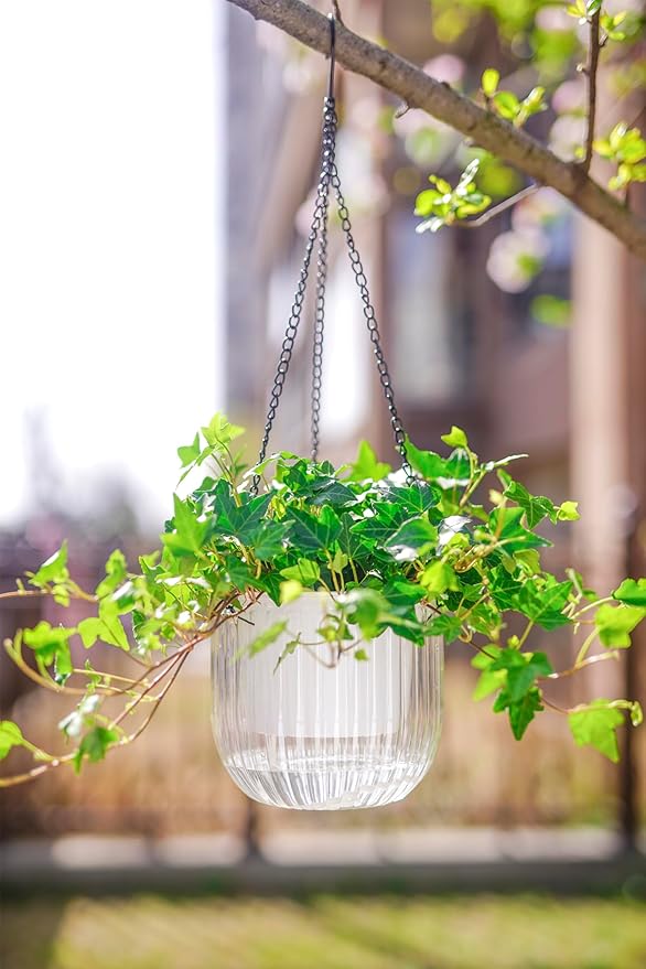 Melphoe 2 Pack Self Watering Hanging Planters Indoor Flower Pots, 6.5 Inch Outdoor Hanging Plant Pot Basket, Plant Hanger with 3Hooks Drainage Holes for Garden Home