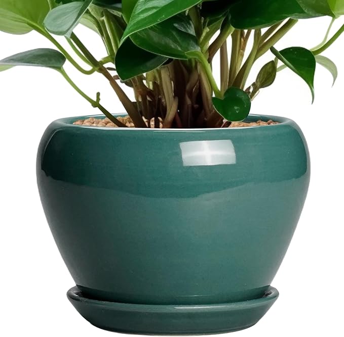 Indoor Plant Pot 6 Inch - Ceramic Planter with Drainage Hole and Saucer, Modern Decorative Indoor Planter for Herb Succulent Plants, Garden Home Decor, Gifts for Plant Lovers, Green