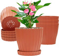 Plastic Flower Pots, 5 Pack 6 inch Indoor Plant Pots Planters for Outdoor Plants Flowers Garden Patio Home Nursery Decor Gifts,Large Succulent Pots with Drainage Tray Saucer & Hole Terracotta