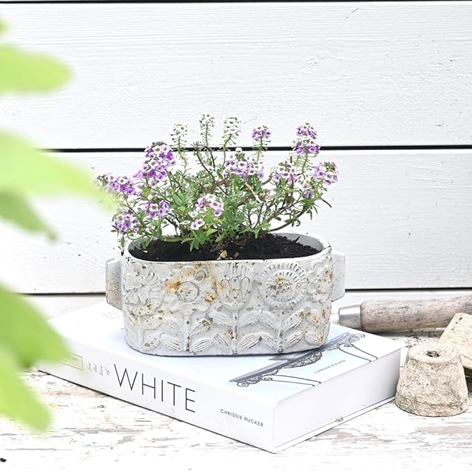 8 inch Pots Planters Indoor Plants Succulent Pots Rectangle Window Box Cactus Plant Containers for Home Decor(No Drainage)