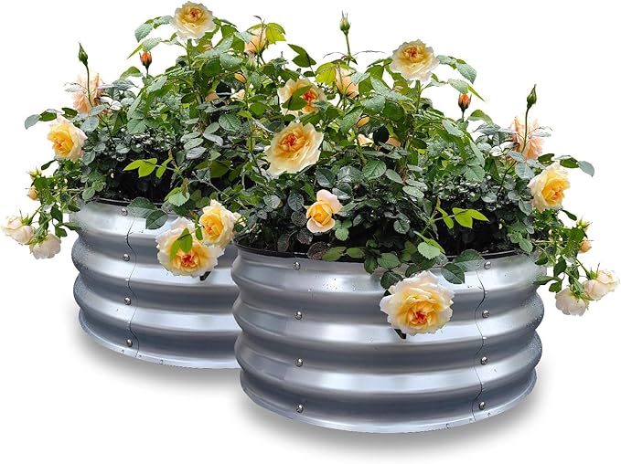 GARDMAX 2 Pack 2x2x1FT Galvanized Round Raised Garden Bed Kit, Metal Planter Boxes Outdoor with Easy Assembly, Large Garden Bed for Vegetables, Fruits, Flower, Herbs Silver