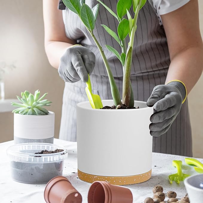 8 Inch Cylinder Flower Pots for Indoor Outdoor Plants, Medium Deep Plant Pots with Drainage Holes & Saucer, Decorative Plastic Planter Pots for Garden House Plants, White with Brown