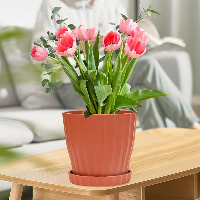 Plastic Flower Pots, 5 Pack 6 inch Indoor Plant Pots Planters for Outdoor Plants Flowers Garden Patio Home Nursery Decor Gifts,Large Succulent Pots with Drainage Tray Saucer & Hole Terracotta