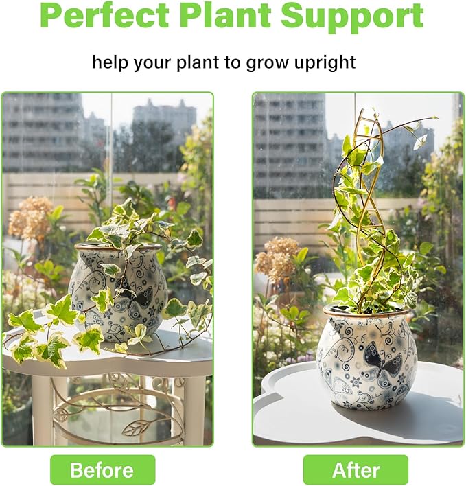 Indoor Plant Trellis for Potted Plants - Durable Metal Climbing Trellis with Unique DNA Spiral Design for Vining Plants, Easy Installation for Indoor & Outdoor Use