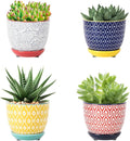Selamica Ceramic Succulent Pots with Drainage Holes, Small Flower Pots 3.5 Inch Plant Pots for Indoor Plants with Saucers, Cactus Succulent, Home Decor, Set of 4, Assorted Colors