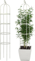 Garden Trellis for Climbing Plants, Rustproof Metal Pipe with Heavy Duty 6ft, Garden Outdoor Indoor Potted Plant Support（White）