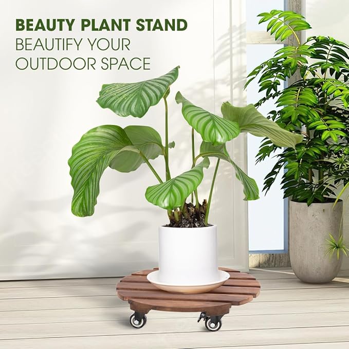 Idzo 2-Pack 14 Inch Acacia Wood Plant Caddy with Wheels – Heavy-Duty Plant Dolly with 264 Lbs Capacity, 360° Lockable Wheels for Large Plant Pots, Heavy Objects, Ideal for Indoor and Outdoor Use